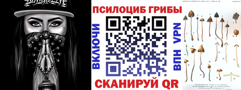 Псилоцибиновые грибы прущие грибы дарнет шоп Соль-Илецк