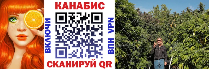 Бошки Шишки SATIVA & INDICA  Соль-Илецк 